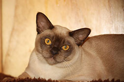 Where we are - What we do